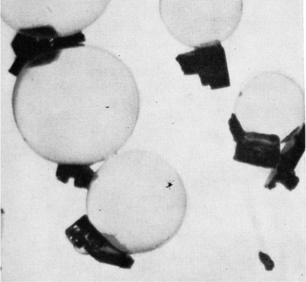 A microscopic image of flotation of particles